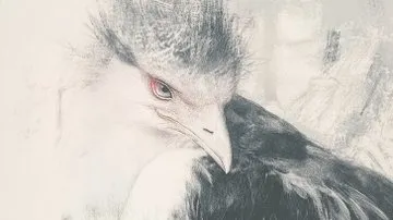 Ethereal Portrait with Soft Focus - Пример 4