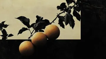 Surreal Monochrome Monument - Пример 3