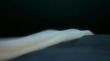 Contemplative Sunrise - Пример 4