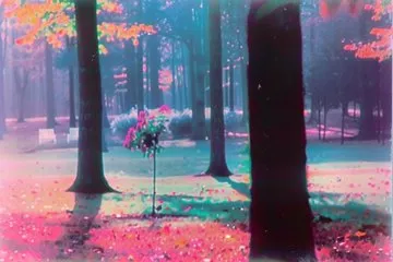 Dreamy Forest Walk - Пример 3