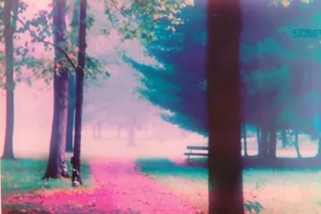 Dreamy Forest Walk - Пример 1