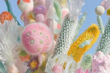 Whimsical Organic Surrealism - Пример 1