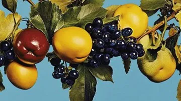 Retro Chic with Vibrant Contrasts - Пример 3