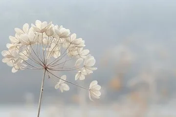 Dreamy Elegance in Soft Tones - Пример 4