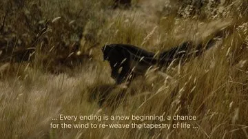 Ethereal Aquatic Elegance - Пример 3