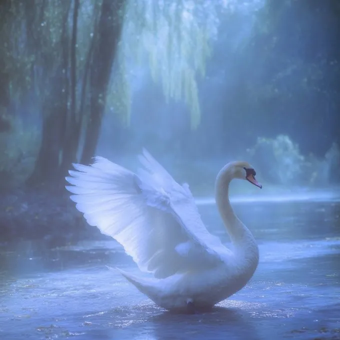 Ethereal Swan Serenity - Пример 3
