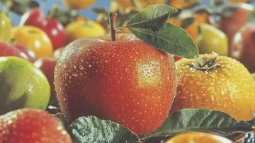 Futuristic Glimpse - Пример 3