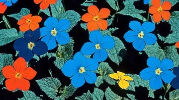 Vivid Pop Art Portrait - Пример 3