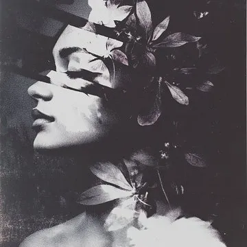 Textured High Contrast Silhouette - Пример 3