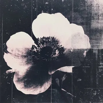 Textured High Contrast Silhouette - Пример 4