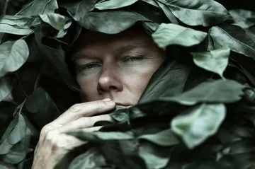 Classic Elegance - Пример 3