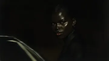 Nocturnal Pursuit - Пример 4