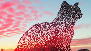 Urban Edgy Fashion - Пример 4