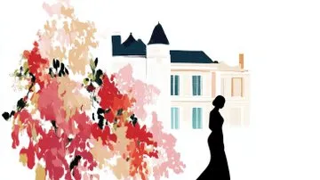 Abstract Silhouette with Birds - Пример 4