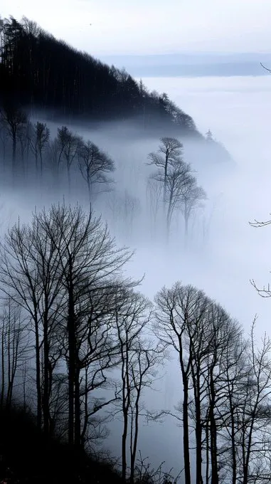 Foggy Minimalist Landscape - Пример 2