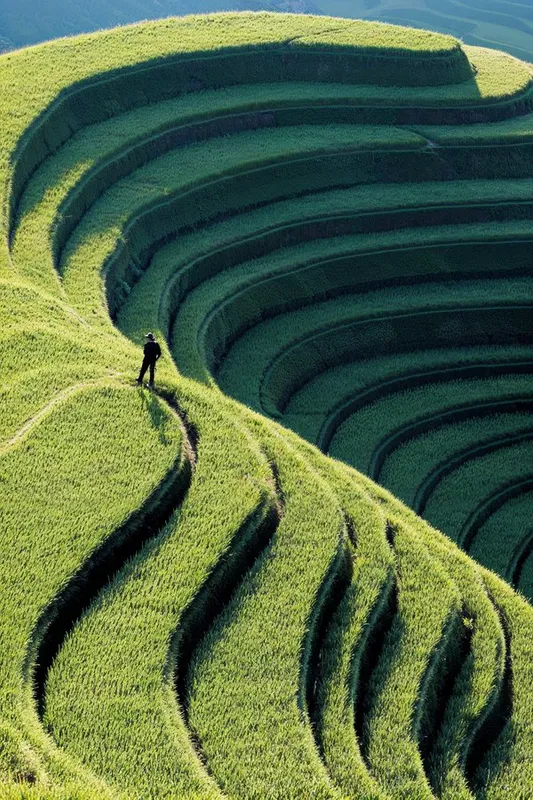 Emerald Layered Harmony - Пример 2