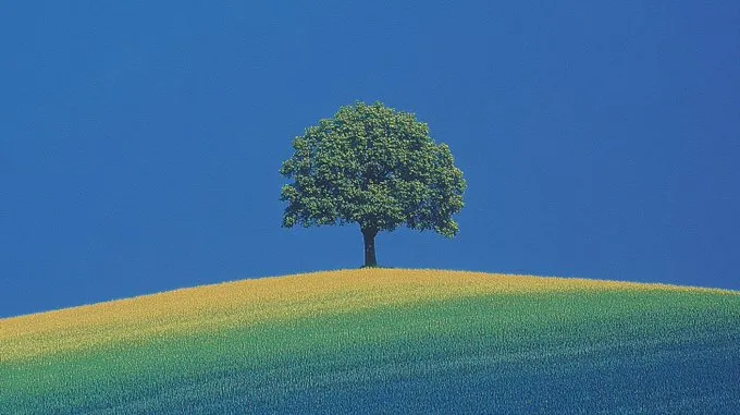 Serene Minimalism - Пример 4