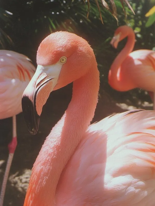 Dreamy Glamour Portrait - Пример 4