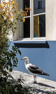 Realistic Urban Serenity - Пример 1