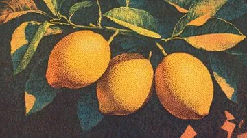 Dreamy Neon Silhouette - Пример 3