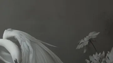 Ethereal Elegance - Пример 3