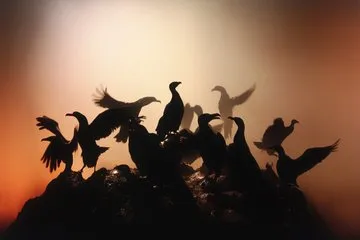 Desert Tranquility - Пример 3