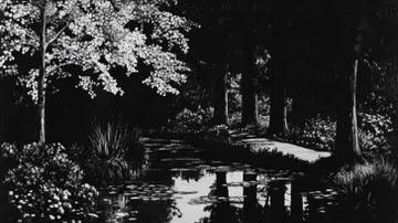 Chiaroscuro Silhouette - Пример 3