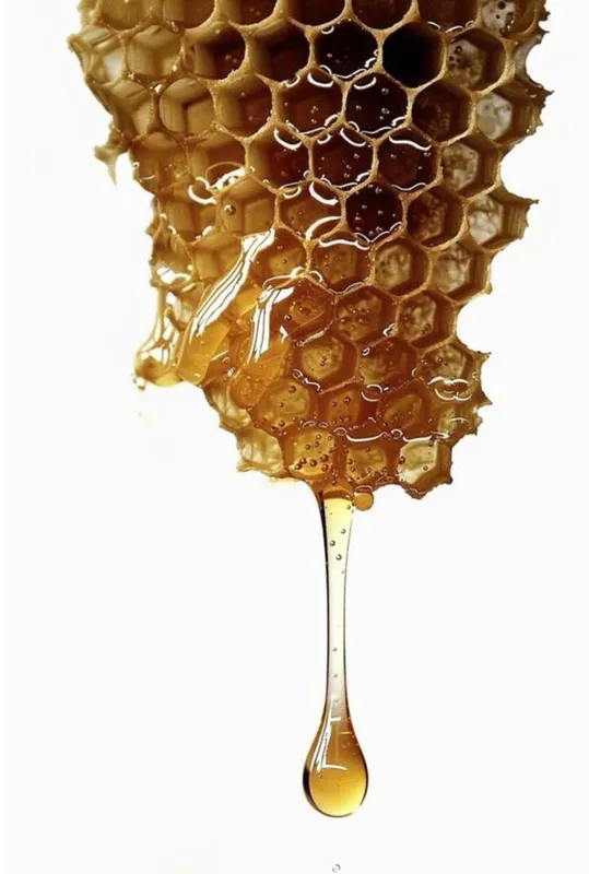 Serene Cleansing Aesthetics - Пример 3