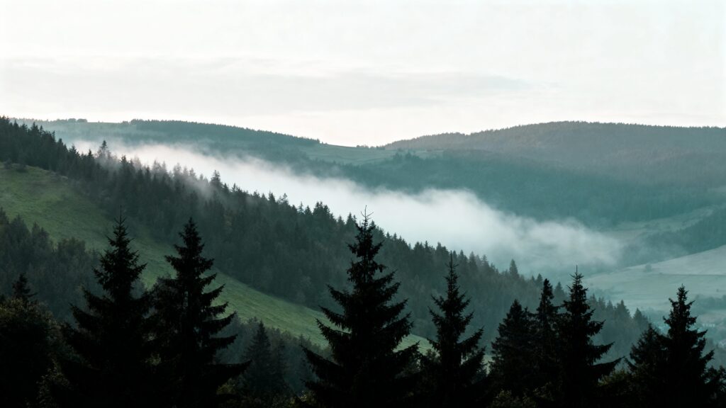 Foggy Pine Ridge Daybreak Panorama - Пример 1